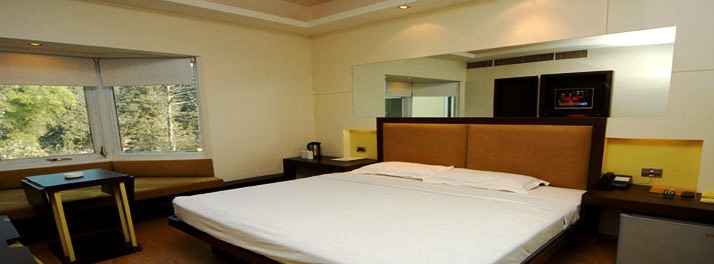 1363/Hotel Arif Castles - Lucknow 10.jpg